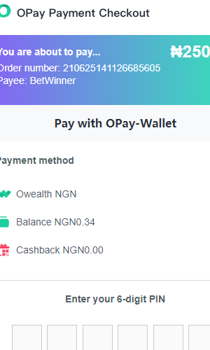 Betwinner Nigeria Opay Payment
